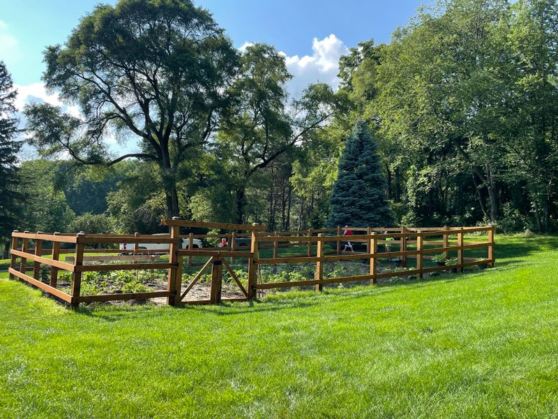Residential Fencing