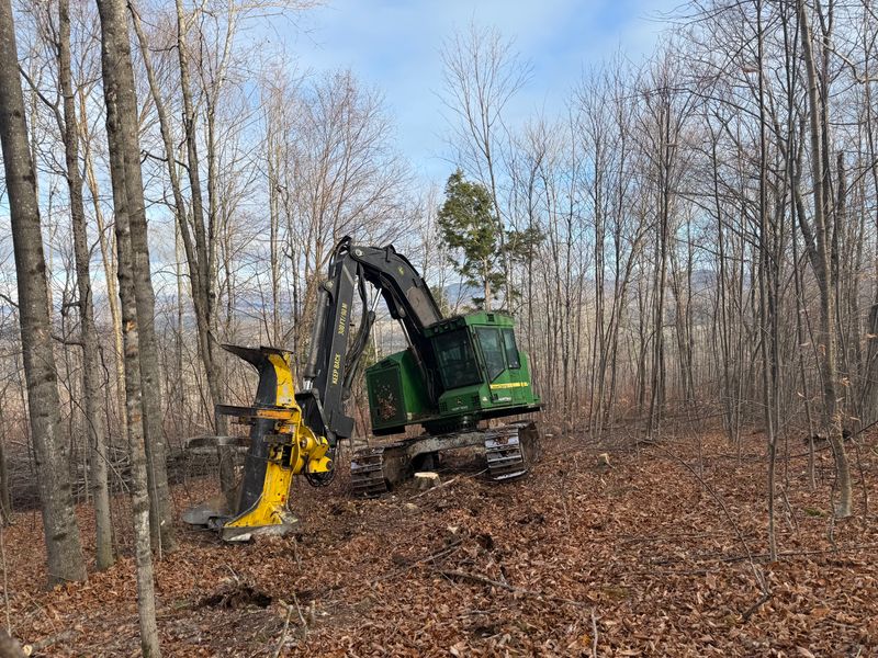 Forestry Mulching