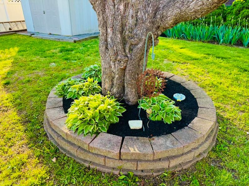 Hardscape Installation
