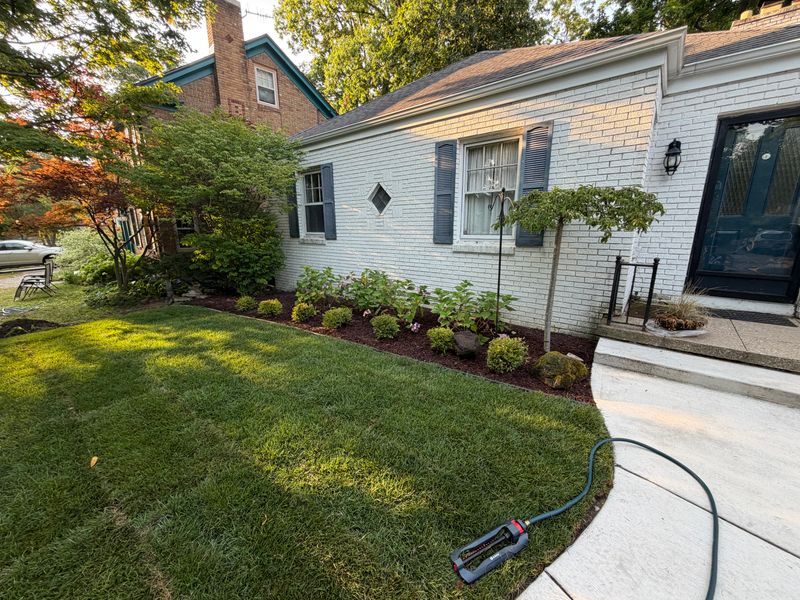 Shrub Trimming