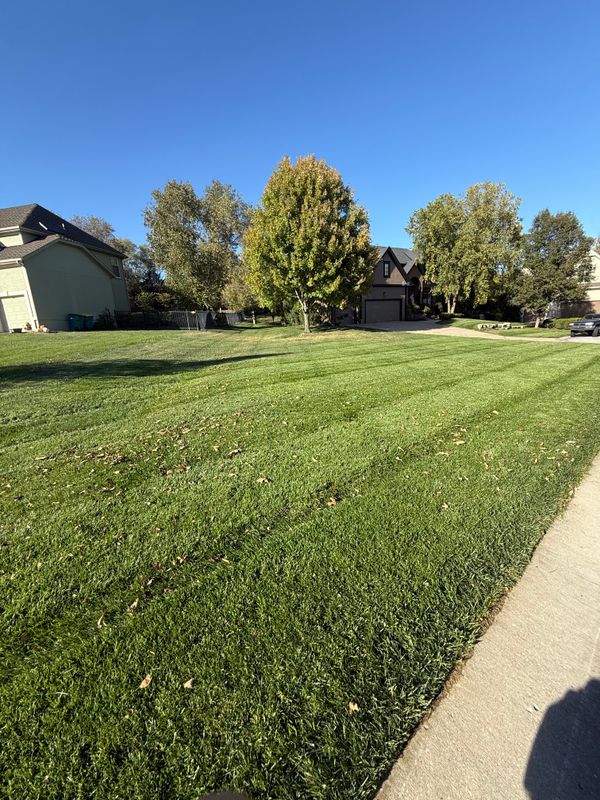 Property Maintenance