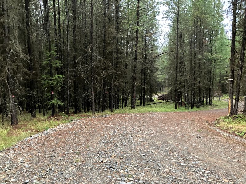 Gravel Driveways