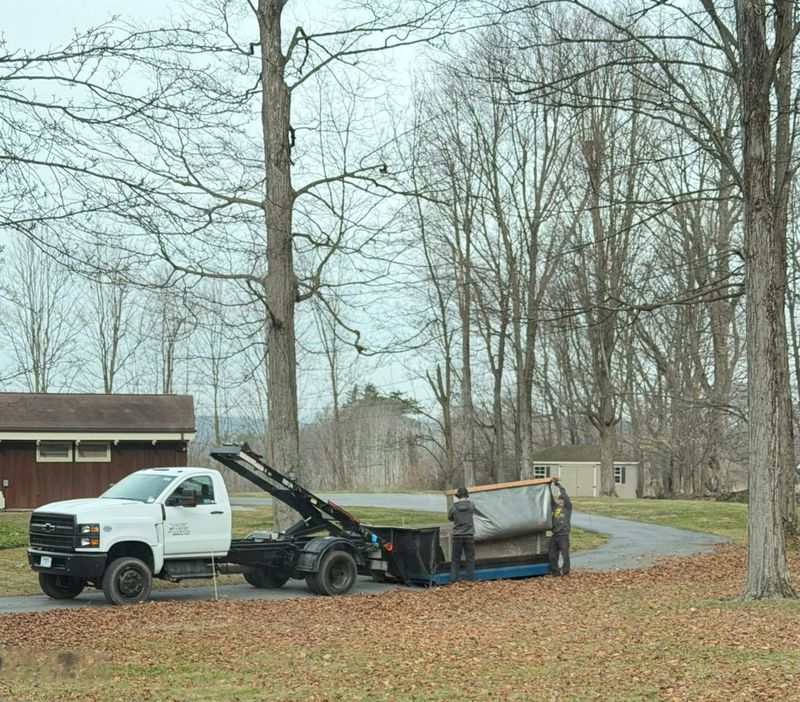 Tree & Shrub Care