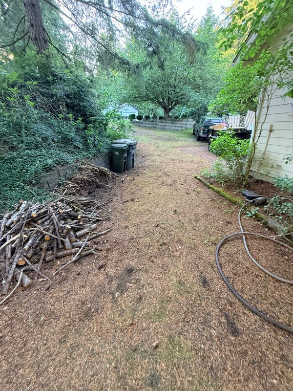 Yard Waste Removal