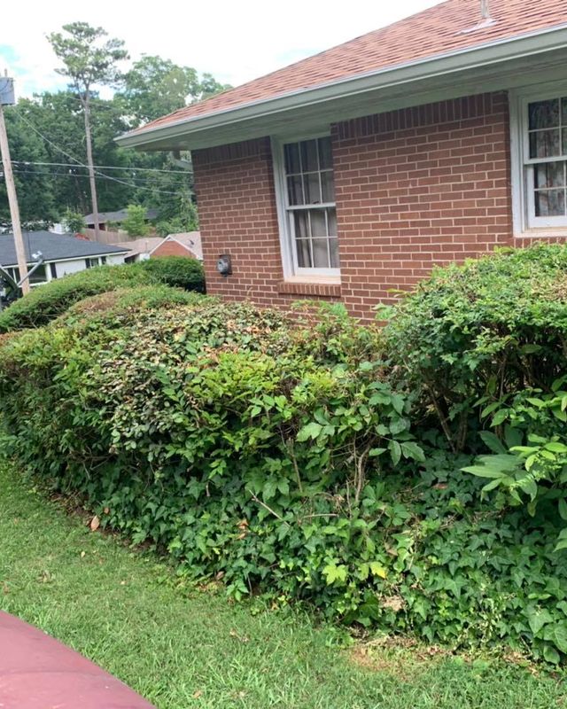 Landscaping