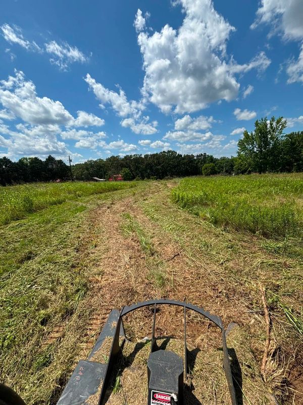 Land Clearing