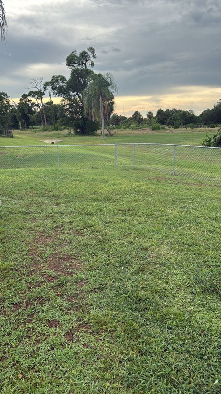 Chainlink Fence
