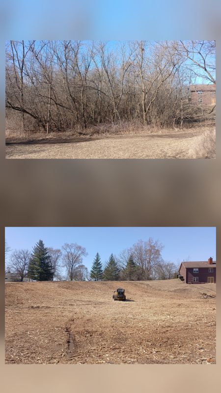 Land Clearing