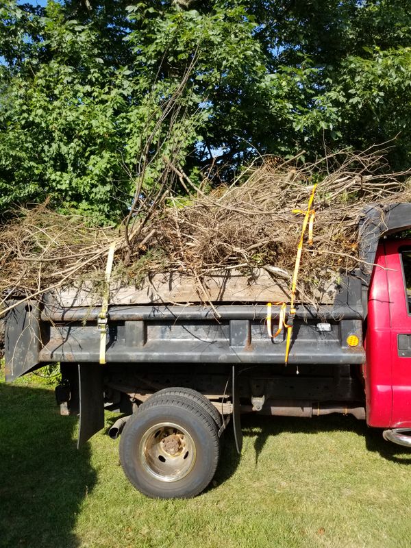 Fall Cleanups