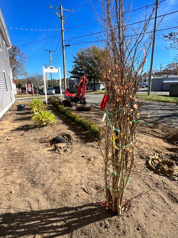 Landscaping
