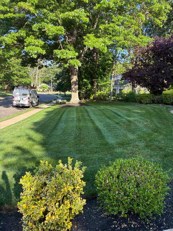 Lawn Maintenance