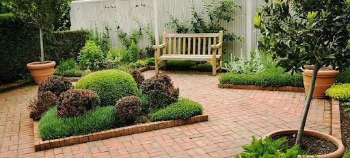 Tree And Shrub Maintenance