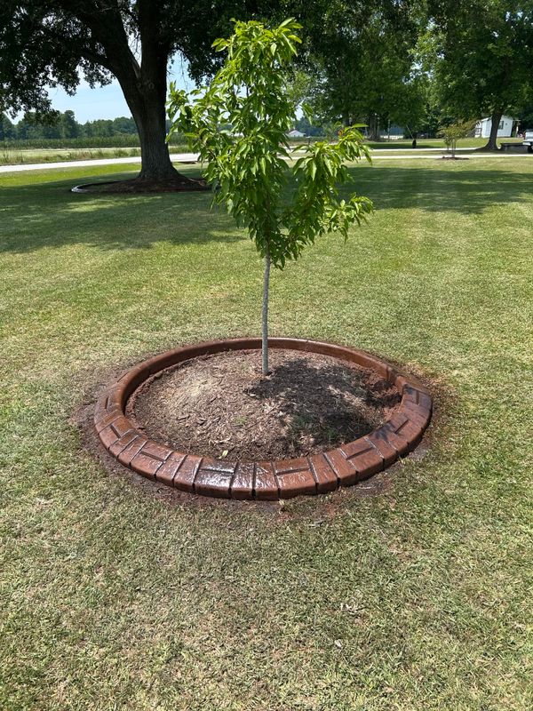 Concrete Edging