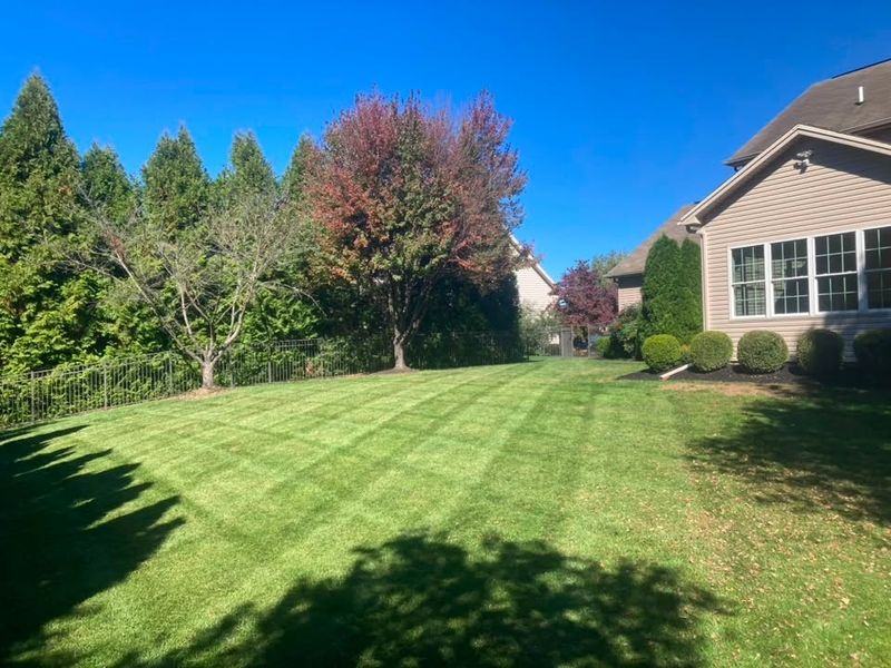 Lawn Maintenance