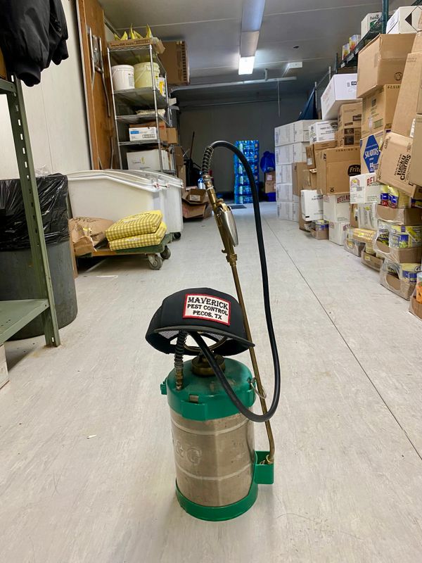 Pest Control gallery