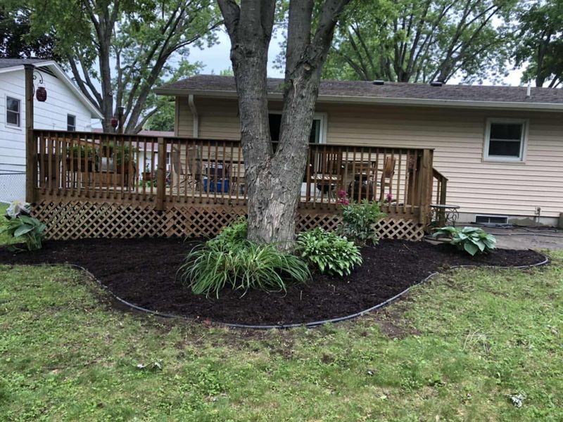 Landscaping