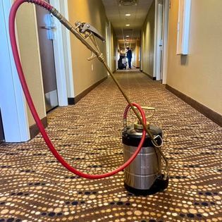 Pest Control gallery