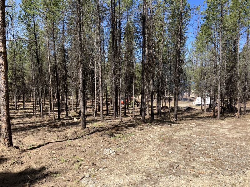 Land Clearing