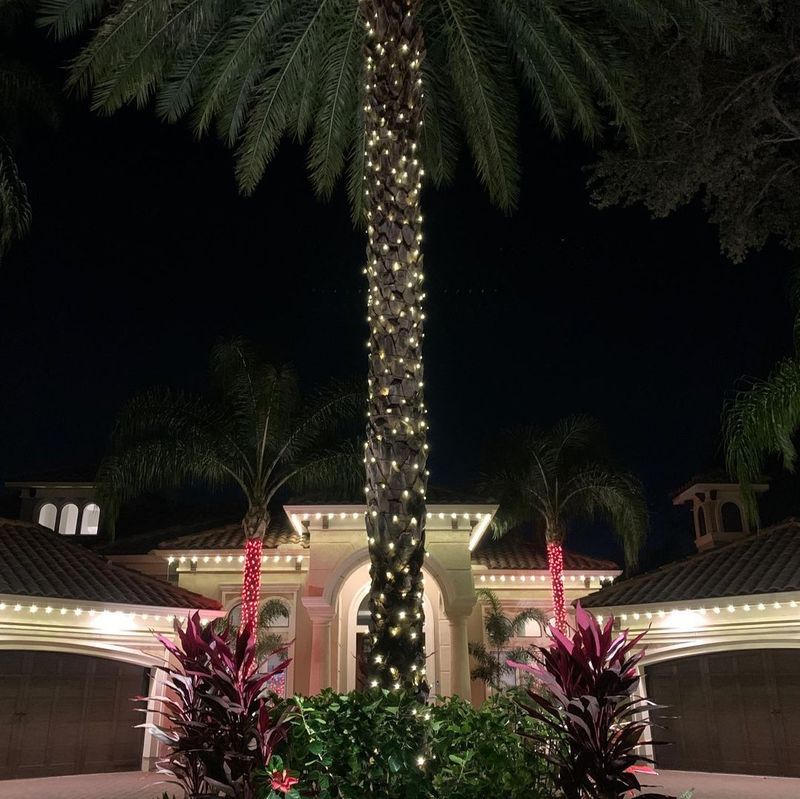 Christmas Light Installation