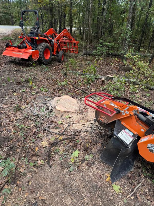 Stump Grinding gallery