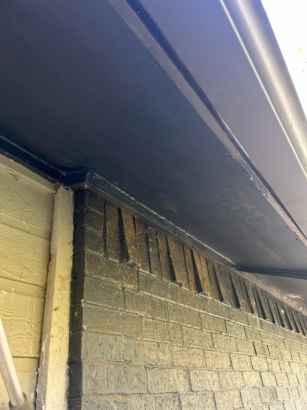 Fascia Repair