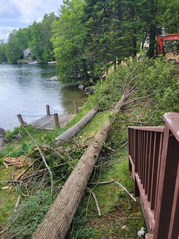 Tree Removal gallery