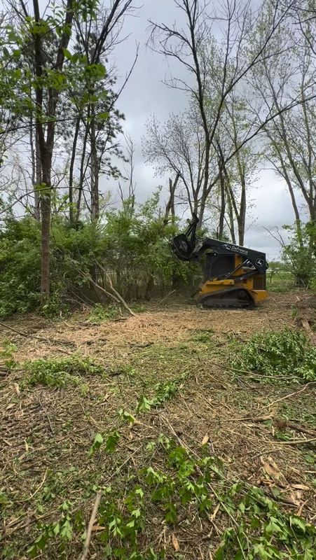 Land Clearing