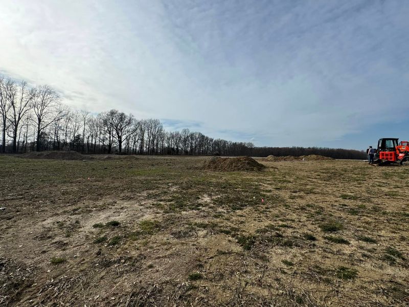 Site Preparation & Excavation