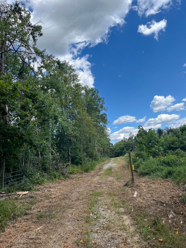 Brush cutting/clearing