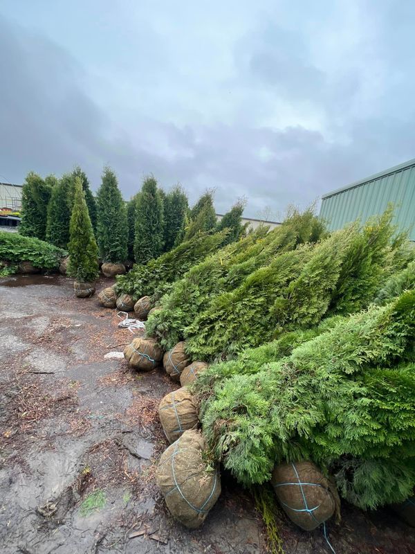 Landscaping gallery