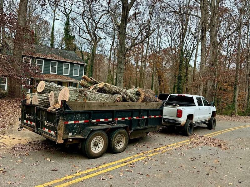 Stump Removal