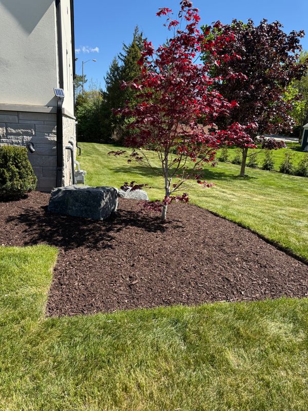 Softscaping Design & Installation