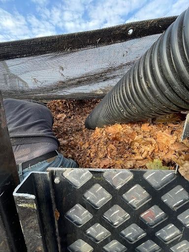 Fall Clean Up