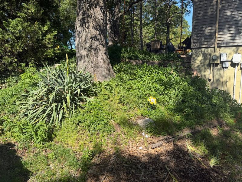 Property Reclaimation