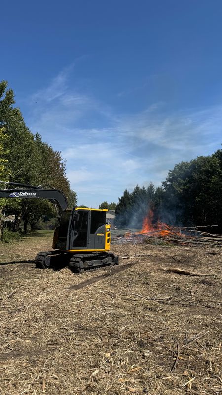 Land Clearing