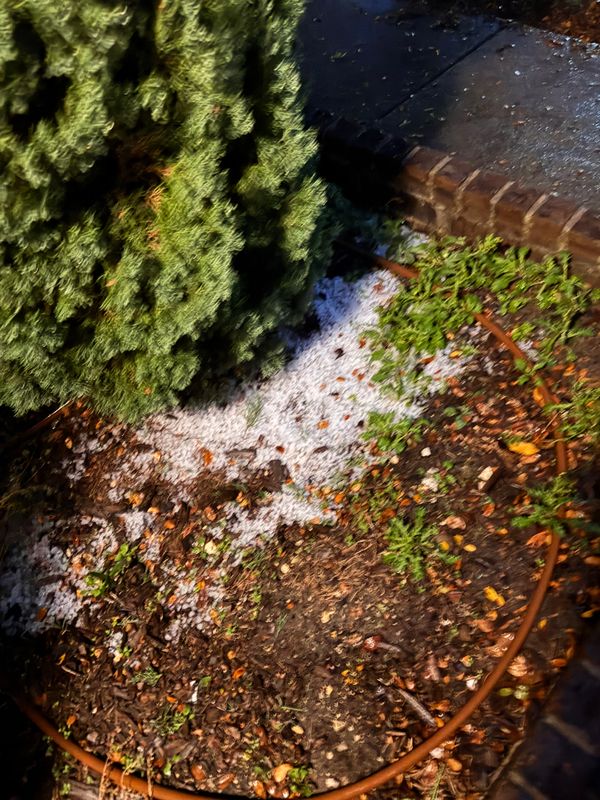 HAIL NO!