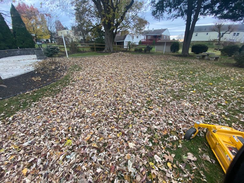 Fall cleanups