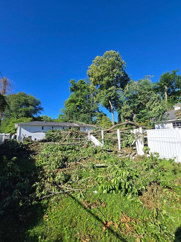 Land Clearing