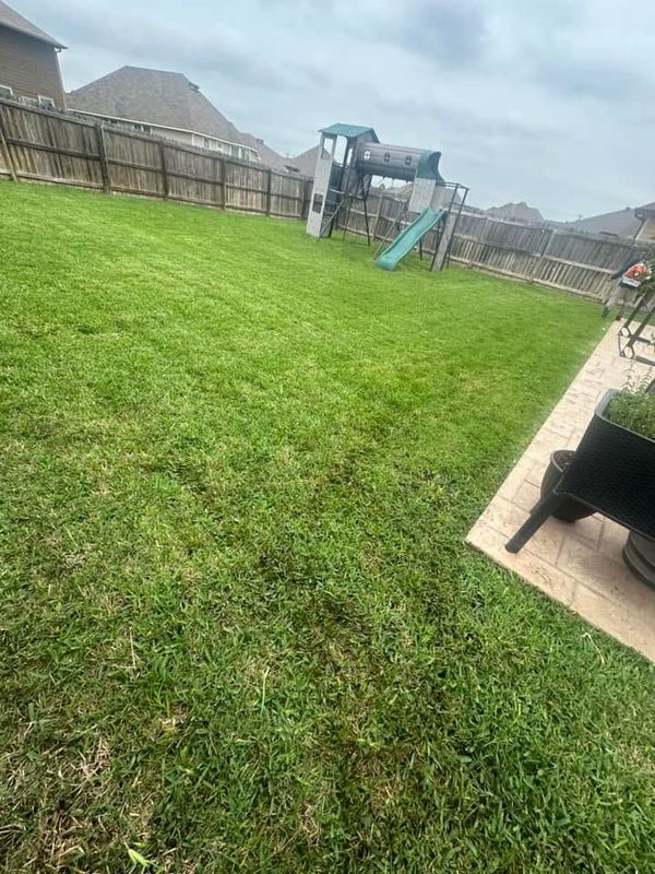 Lawn Maintenance
