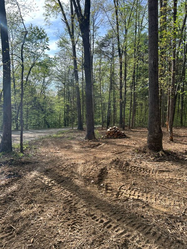 Land Clearing