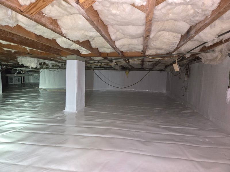 Crawl Spaces and Basements