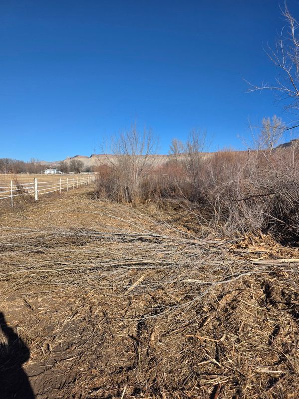 Debris Removal