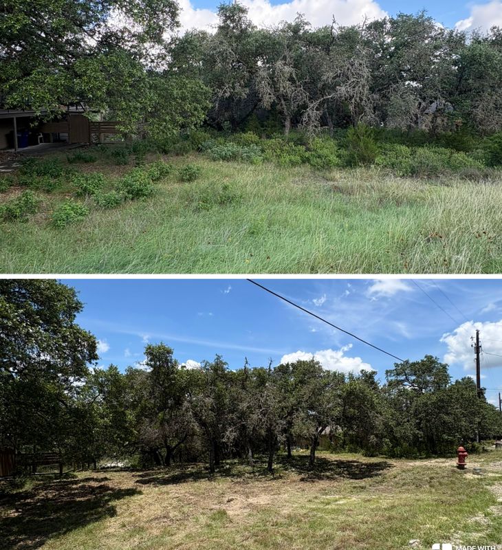 Tree Trimming & Land Clearing