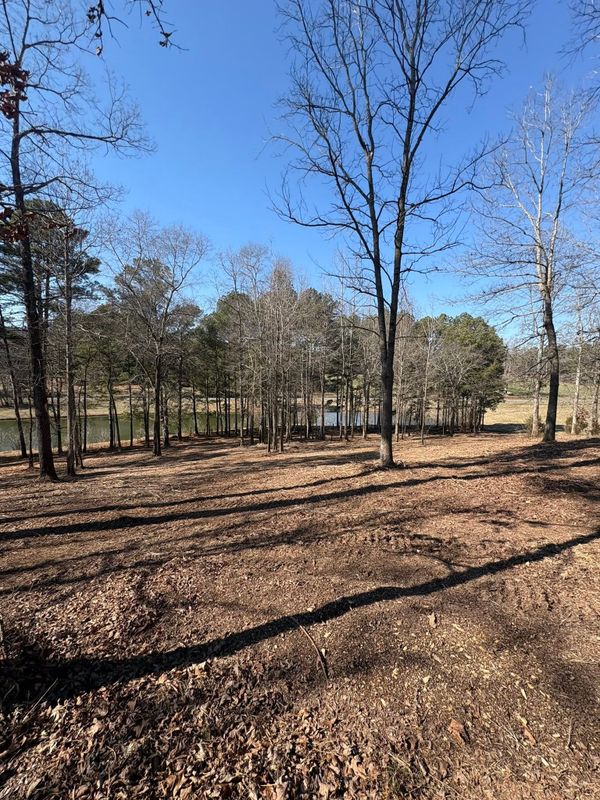 Forestry Mulching