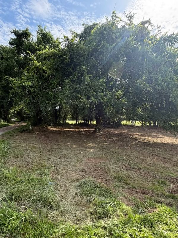 Brush Clearing