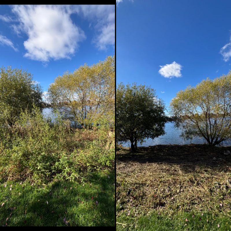Property Cleanups