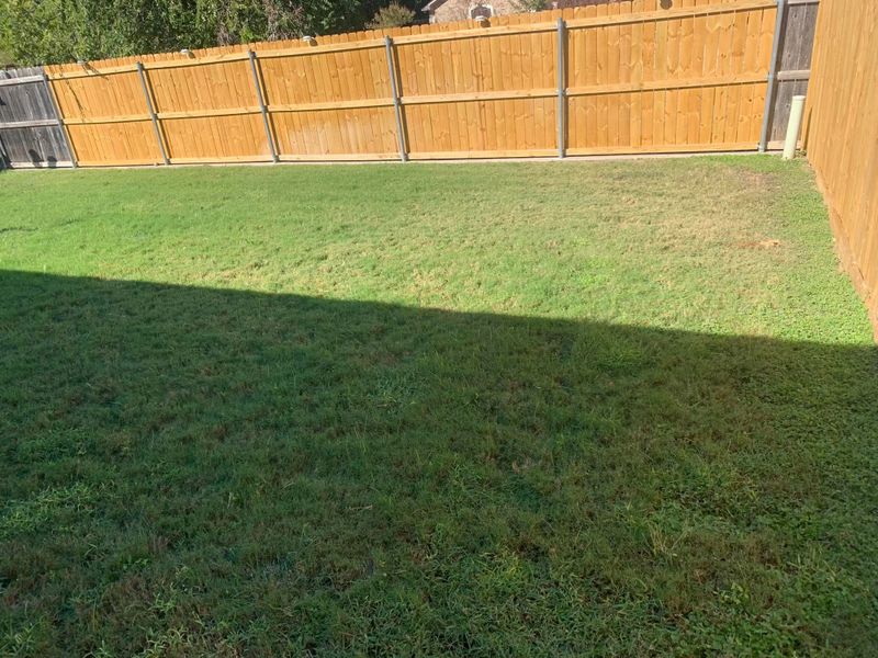 Lawn Maintenance