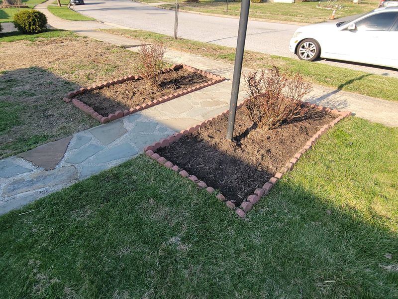 Beautiful Lawns