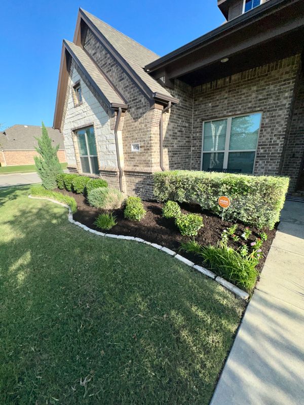 Landscape Design and Installation