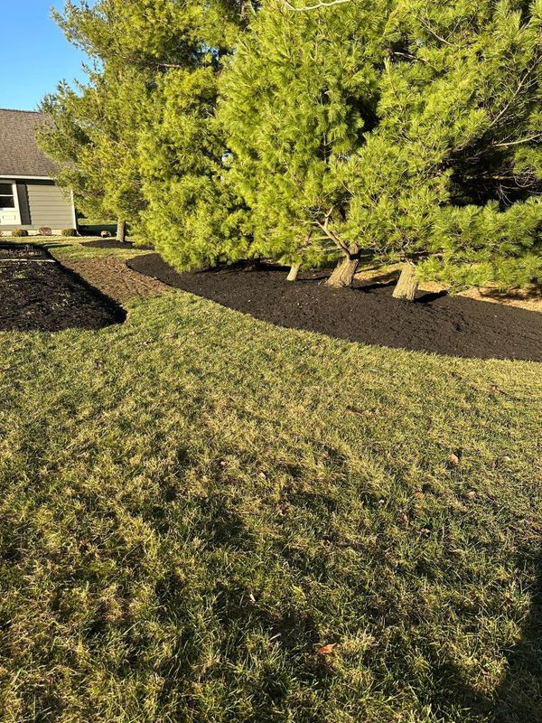 Landscape design